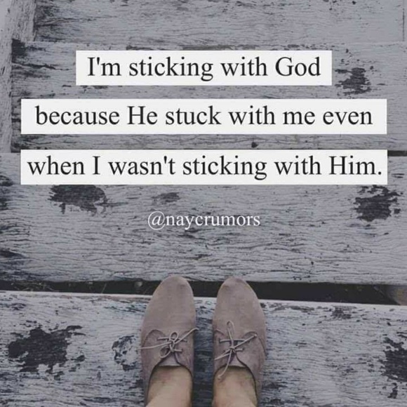 Meet your Posher, Dawn - Picture 1 of 1